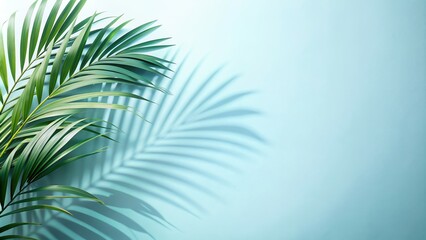 This captivating background features a mesmerizing array of blurred palm leaf shadows dancing across a light blue wall. The subtle design adds a touch of tropical flair to your product presentations.