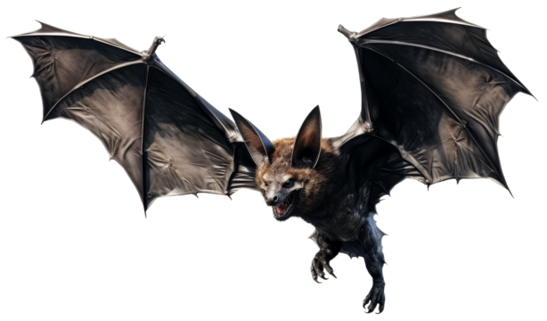 A scary bat with an open mouth in flight. Wide-spread wings. Side view. Isolated on transparent background