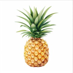 Fototapeta premium A watercolor style illustration of a pineapple with detailed texture