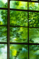 Old factory with objects abandoned inside and growing nature, power of life