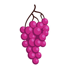 Bunch of juicy grapes. Cartoon flat illustration of ripe berries