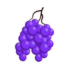 Bunch of juicy grapes. Cartoon flat illustration of ripe berries