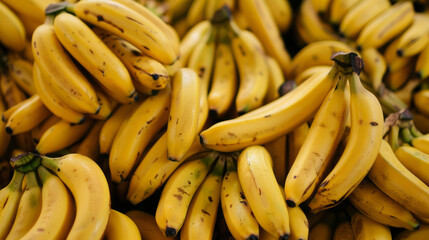 A bunch of ripe bananas on display at a market. Fresh yellow bananas background.