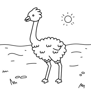 recommend clip art: Emu coloring page with landscape, isolated ,Simple Animal Coloring Page ,Vector Illustration