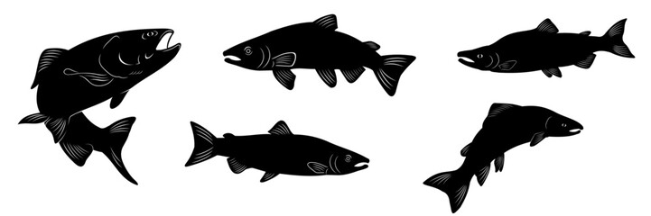 salmon silhouette vector 