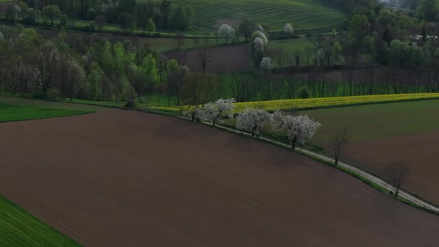 Lover silesia fields in Poland