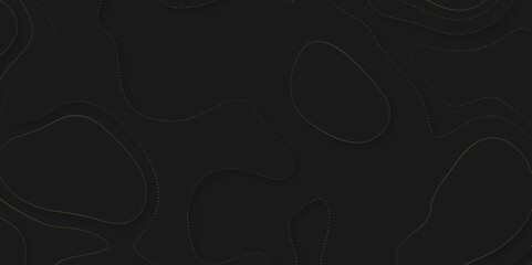 Abstract lines background. Contour maps. Vector illustration. The stylized height of the topographic map contour in lines and contours isolated on transparent. technology topo landscape grid map text