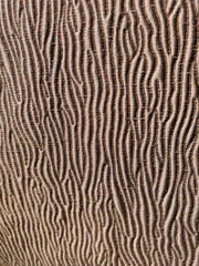 Colorful woolen textile pattern close up in Italy