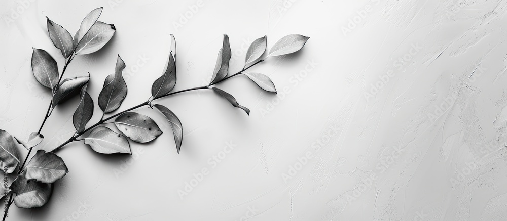 Poster copy space image featuring plant leaves on a monochromatic backdrop