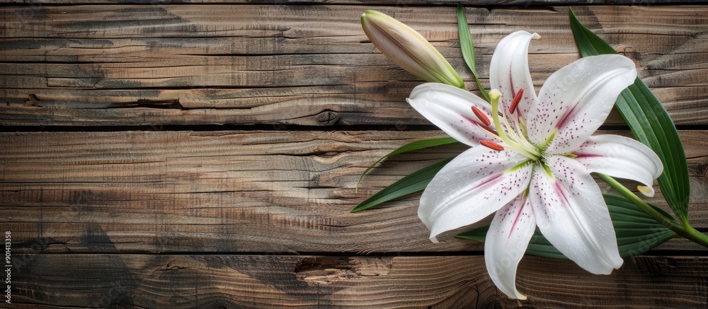 Poster a beautiful lily flower against a rustic wooden backdrop with copy space image
