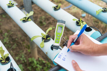 Record the  EC value of water in vegetable hydroponics system  