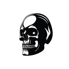 human skull side view vector