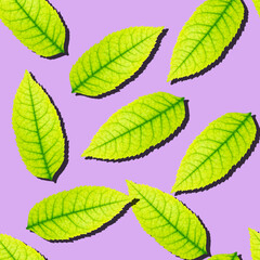seamless pattern of bright green leafs with shadows on color background