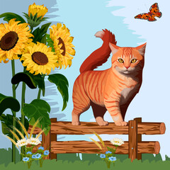 Cat on the fence and sunflowers.Colored vector illustration with a cat on a wooden fence and blooming sunflowers.