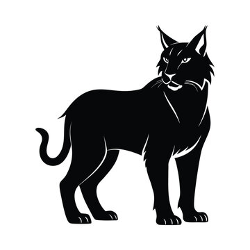 recommend clip art: bobcat animals and Vector file