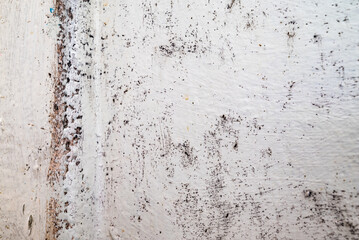 Big wet black mold and cracks a on the wall