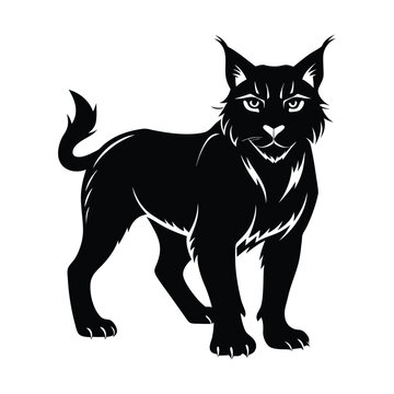 recommend clip art: bobcat animals and Vector file