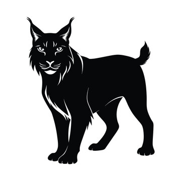 recommend clip art: bobcat animals and Vector file