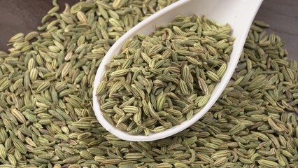 Fennel is a highly aromatic and flavorful herbs used in cooking and drinks are used as breath freshener.