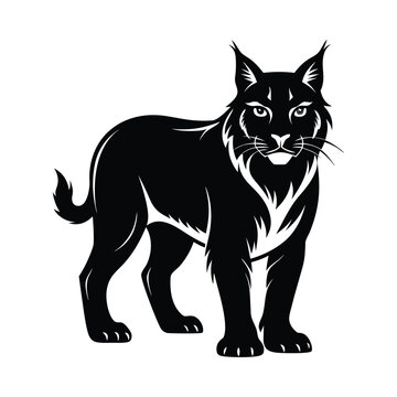 recommend clip art: bobcat animals and Vector file