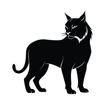 recommend clip art: bobcat animals and Vector file