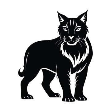recommend clip art: bobcat animals and Vector file