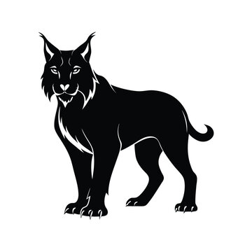 recommend clip art: bobcat animals and Vector file