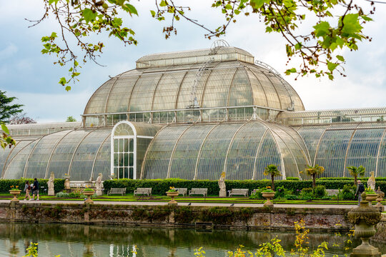 Palm house in Kew botanical gardens reflected in pond, London, UK