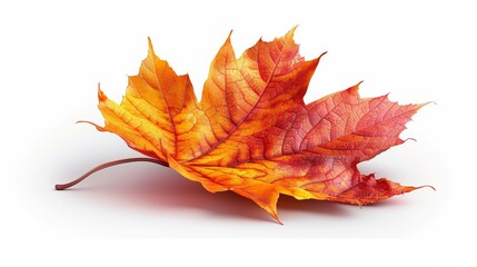 A vibrant autumn leaf showcasing vivid shades of orange, red, and yellow, illustrating the beautiful transition of seasons and the captivating colors of fall foliage