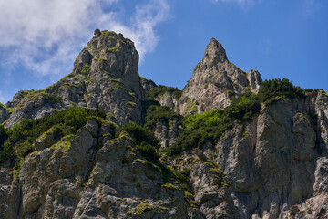 Summer in the mountains