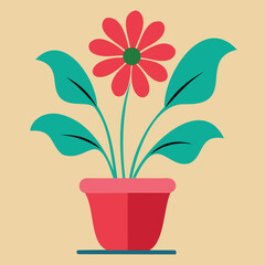 Flower In a Pot