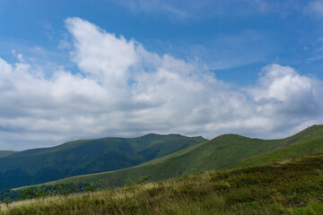 Landscape of grass on the hillside in a cloudy day.