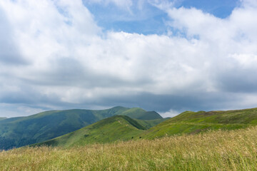 Fototapeta premium Mountain landscape with grass and blue sky. Carpathian, Ukraine