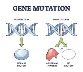 Gene mutation models comparison with abnormal helix protein outline diagram, transparent background. Labeled educational genetic DNA sequence scheme with artificial modification illustration.