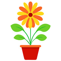 Flower In a Pot
