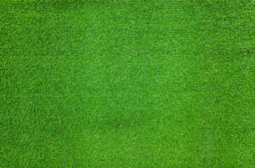 Astroturf for decoration floor and wall.