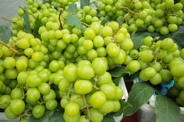 fresh ripe green grapes on street stall