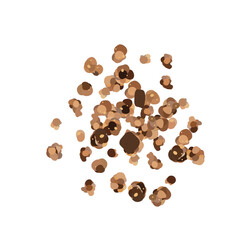 Chocolate Granola Vector, Cocoa Muesli Icon Pile Isolated, Crunchy Cereals, Oatmeal Muesli with Seeds and Grains, Chocolate Granola on White Background Minimal Illustration