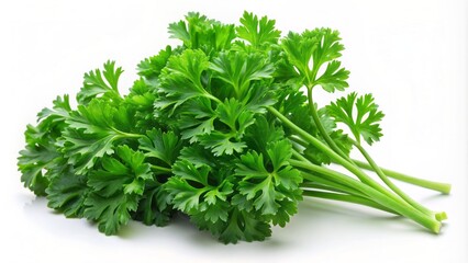 Obraz premium Fresh green parsley leaves are scattered artistically across a clean white background, showcasing their delicate curled shape and vibrant green color in high definition.