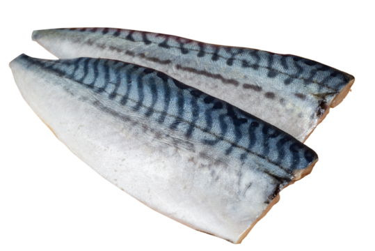 Two mackerel fillets separated from the background