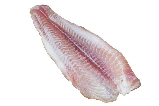 Pink fillet of white fish perch or catfish