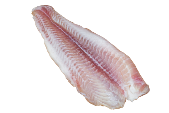 Pink fillet of white fish perch or catfish