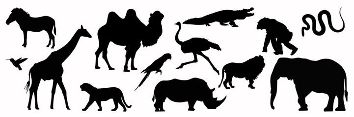 Big set of silhouettes 
animal safari. African animals group vector silhouette illustration isolated on white background. Elephant, giraffe, alligator, lion, chimpanzee, python, ostrich, camel