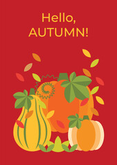 Autumn background with colorful pumpkins of different shapes and falling leaves. Hello autumn card with colorful pumpkins. Poster, flyer, banner, invitation