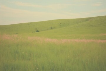 Meadow landscape grassland outdoors.