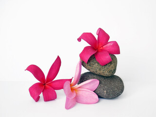 Template for spa salon, cosmetic or massage advertising