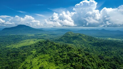 Biosphere Reserve: Areas with varying zones of protection and human activity, designed to conserve biodiversity while allowing for sustainable development and research.
