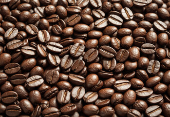 Obraz premium Coffee brown beans background, The beans are the pits inside the red or purple fruit of the plant.