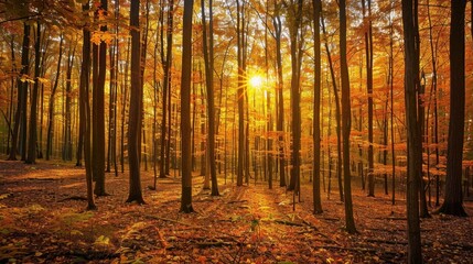 Coniferous Forest: A type of forest characterized by evergreen trees with cones, such as pines and spruces, often found in cooler climates with long winters.
