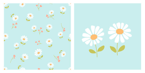 Seamless pattern with daisy flower with green leaves on green background. Daisy icon vector.